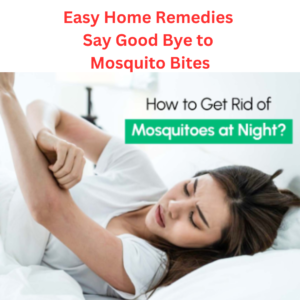 Mosquitos 