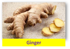 Ginger